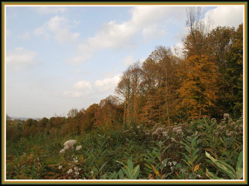 Automne en fort picarde