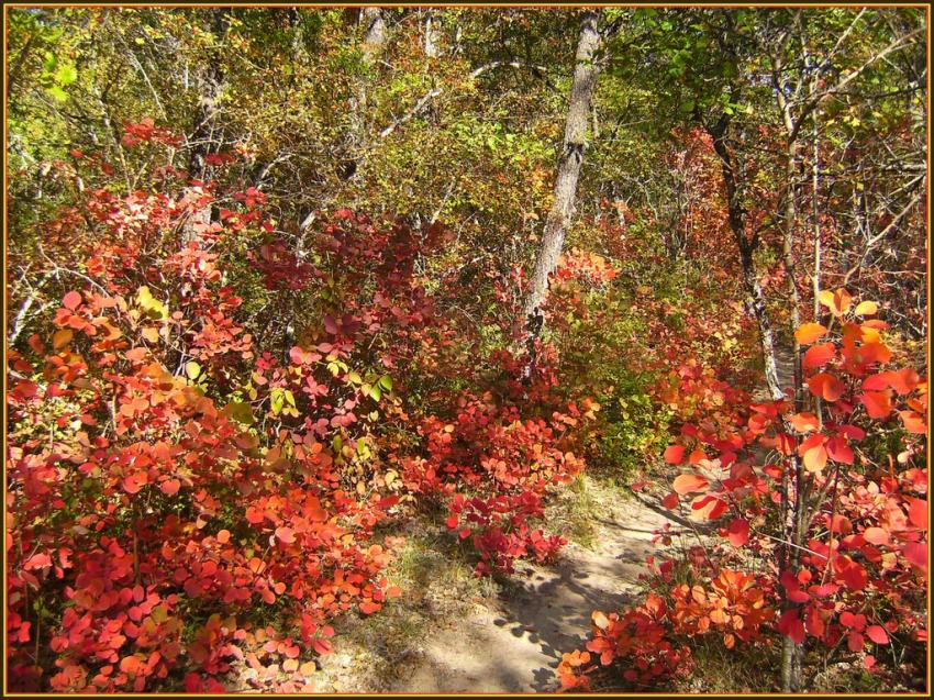 Automne en Provence
