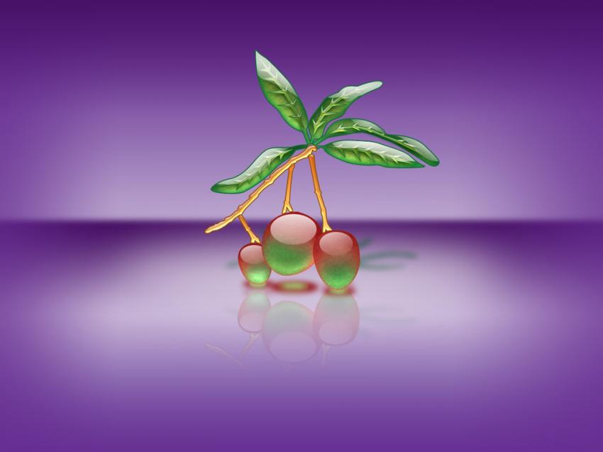 fruit
