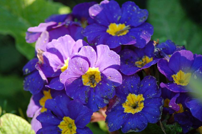 palette de couleurs